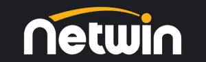Netwin logo